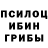 Галлюциногенные грибы MAGIC MUSHROOMS Alpha Lorrik