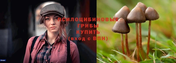 СК Алзамай