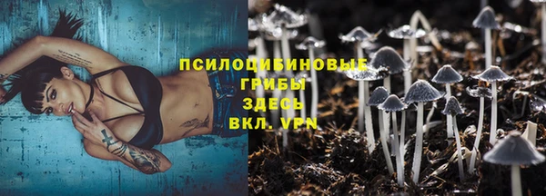 ECSTASY Алексин