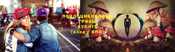 СК Алзамай