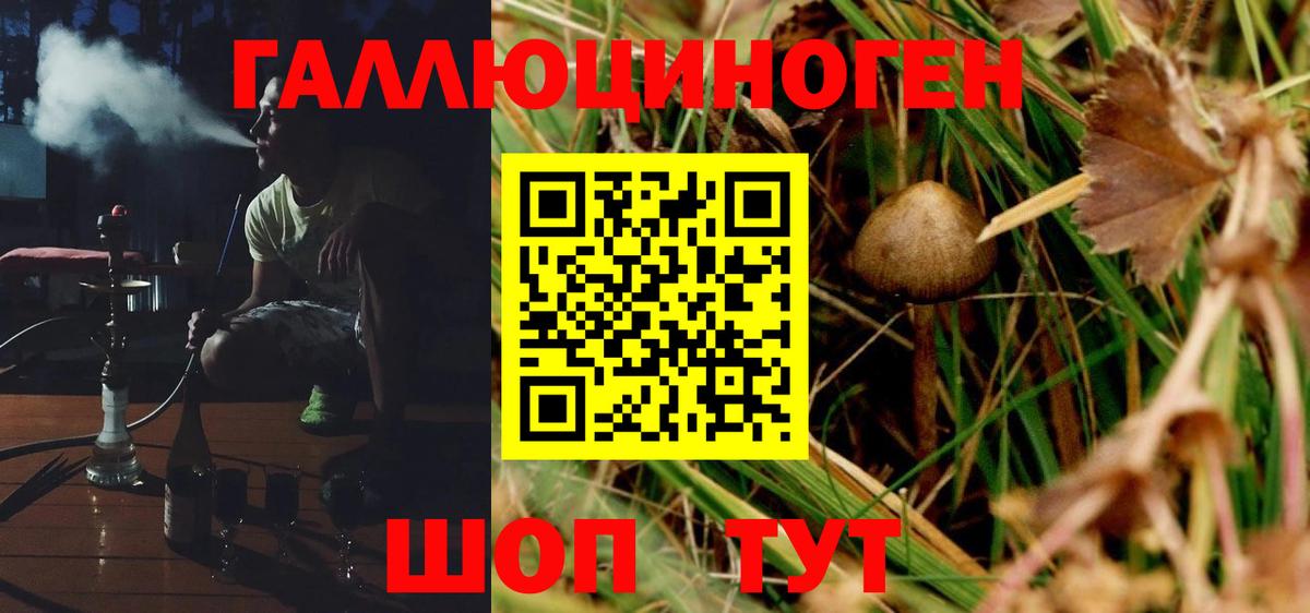 Галлюциногенные грибы Magic Shrooms  Псилоцибиновые грибы Psilocybe  Менделеевск  Вход с VPN 
